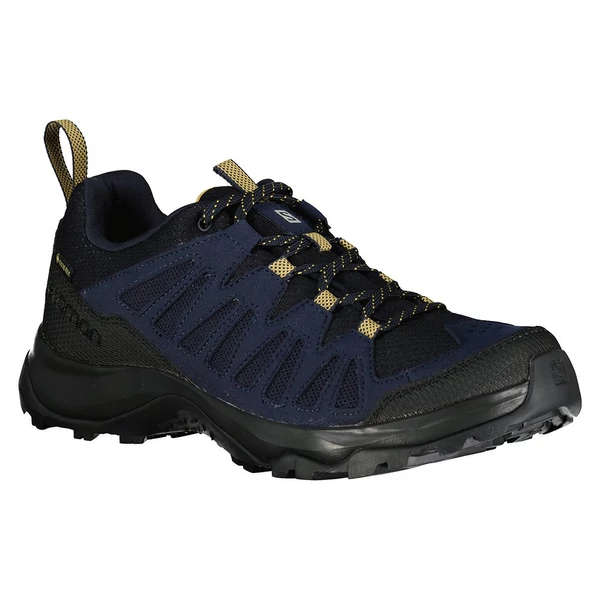 SALOMON EOS GTX FFI TÚRACIPŐ NIGHT SKY/BLACK/FALL LEAF